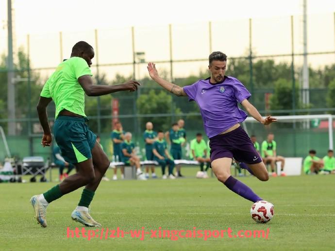 杏彩体育-2024-2025法甲赛季预测及冠军热门球队分析