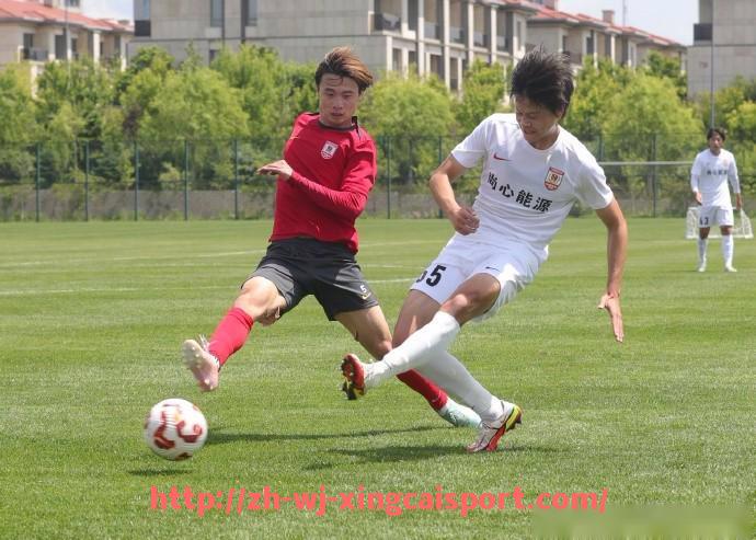 杏彩体育-世俱杯主播带货转化率数据及潜力品类洞察