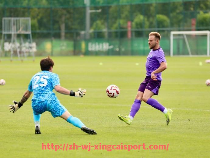 杏彩体育-姚明时期火箭队比赛录像与经典瞬间